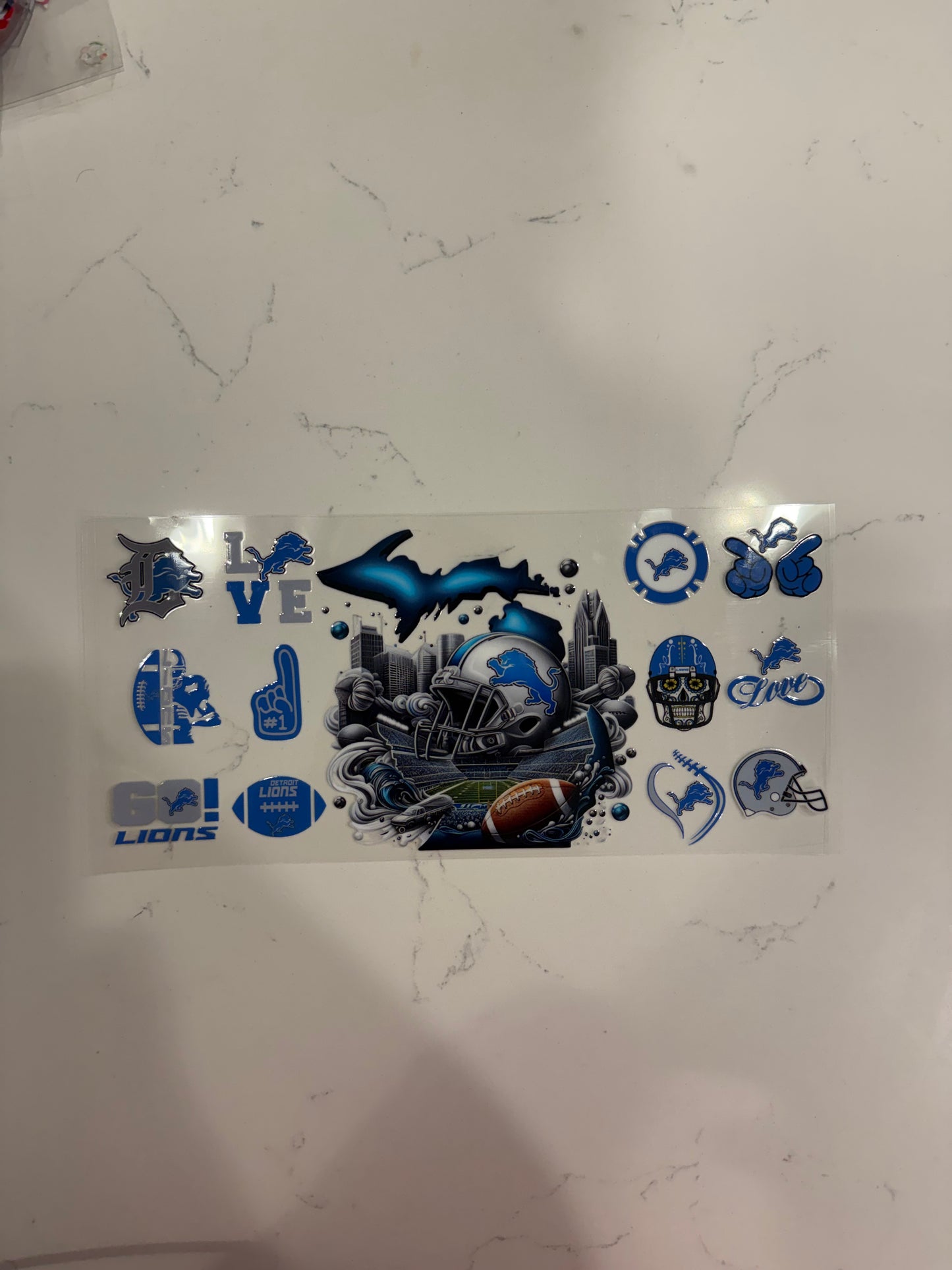 Detroit Lions