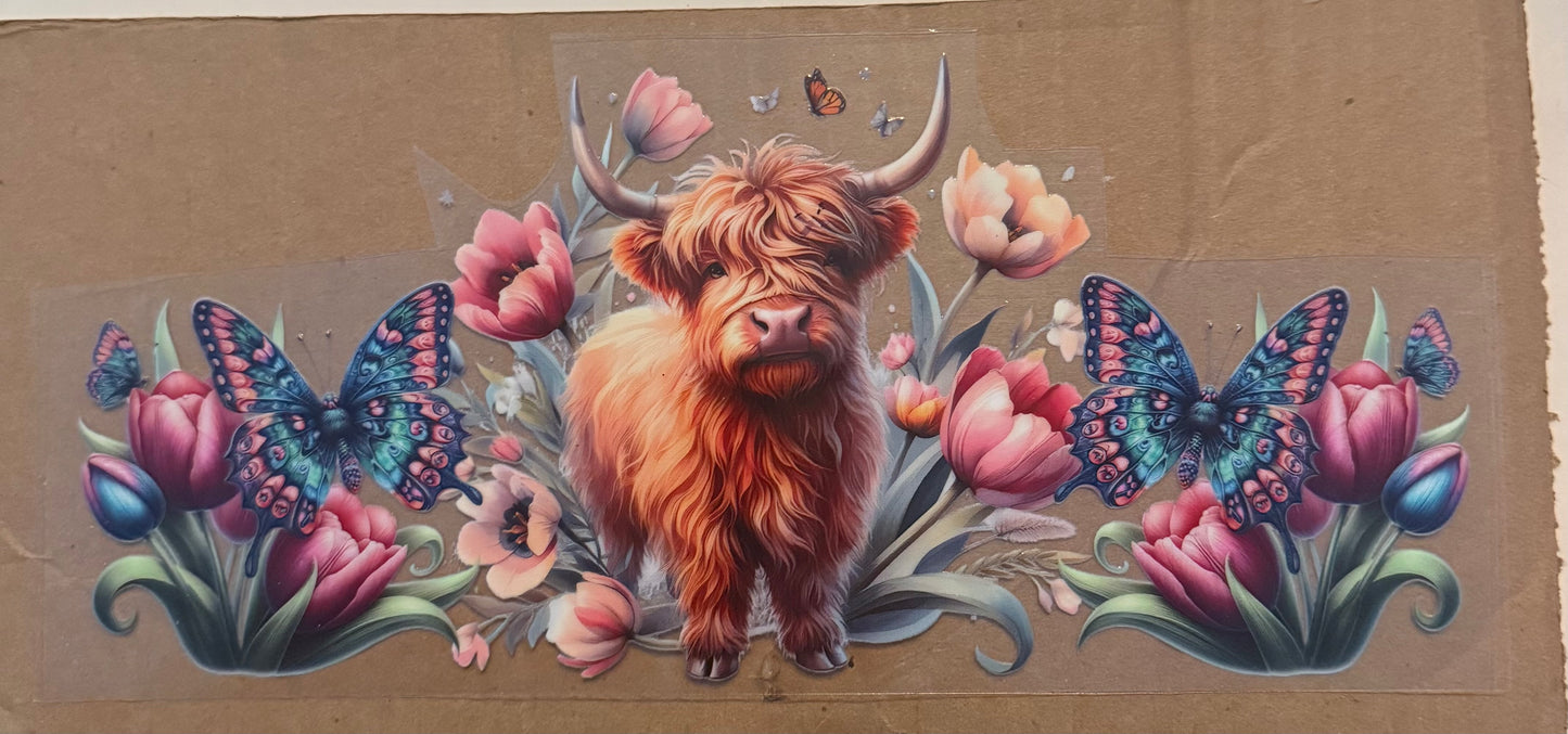 Highland Cow